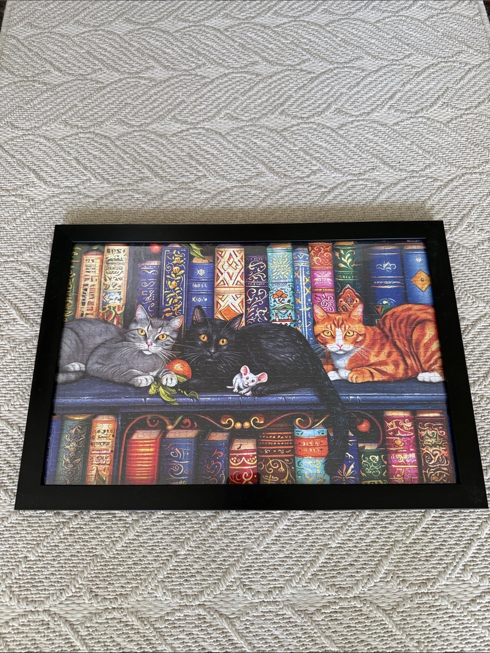 Bookshelf Cats Jigsaw Puzzle Framed Art